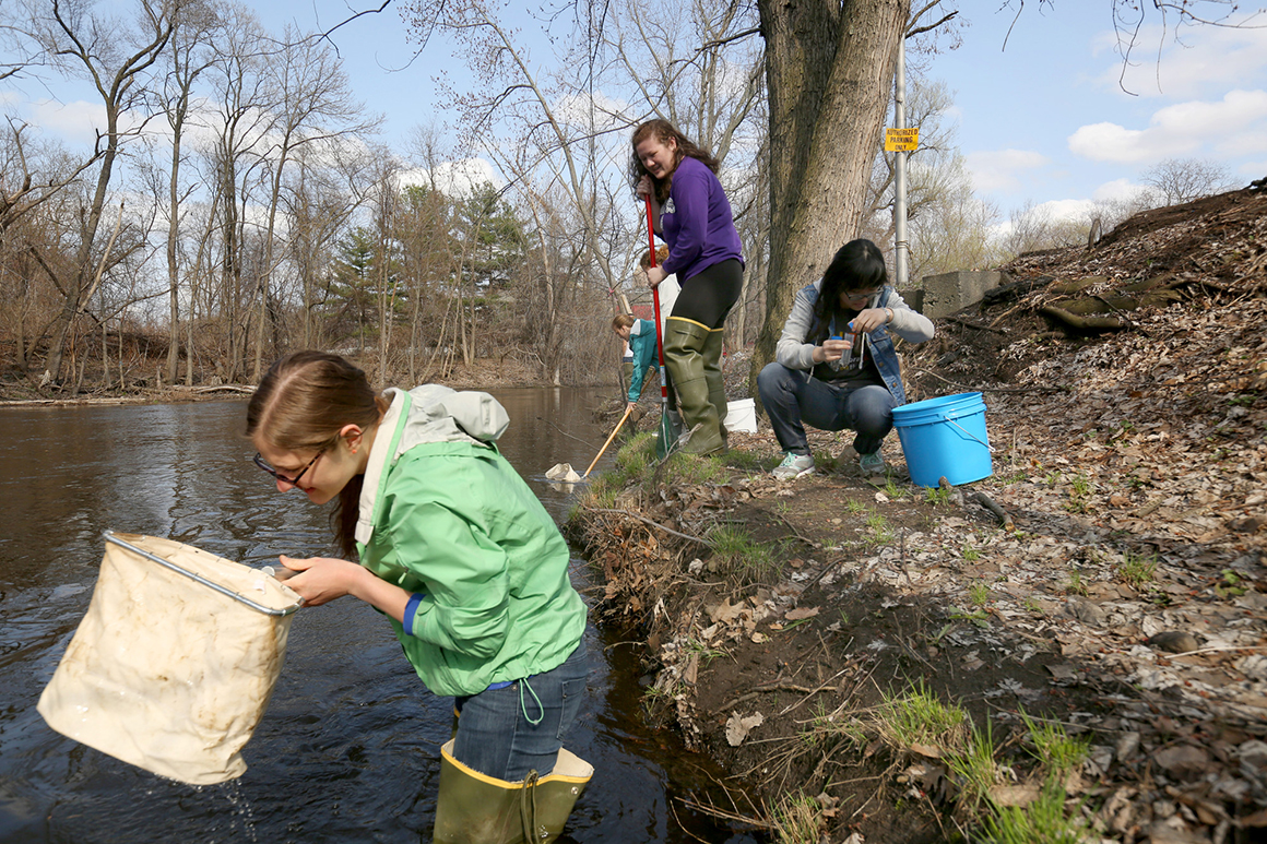 Studens working on the bank of the river