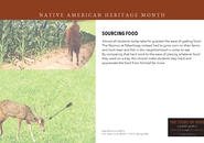 Description of how Nipmuc people sourced food.