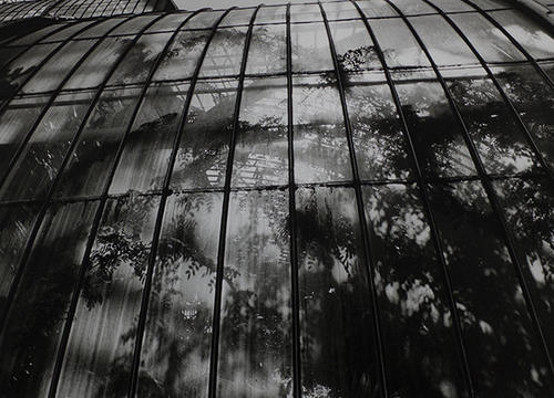 Royal Botanic Gardens, Kew Palm House, England