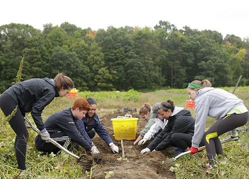 students work on a farm