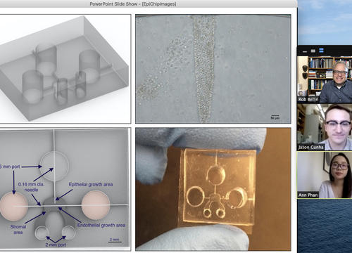 Professor Robert Bellin, Jason Cunha '21 and Anh Phan '21 meet virtually to discuss research.