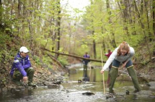 watershed hydrology lab