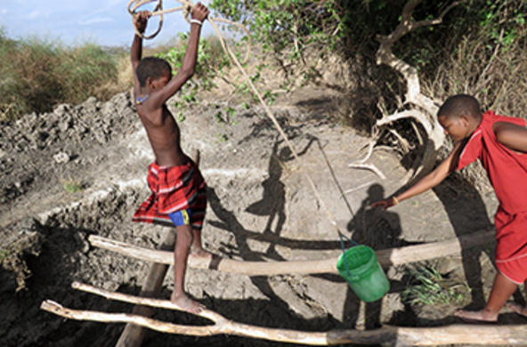 Study Abroad or Study Away 