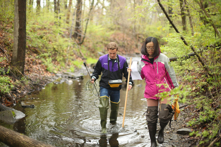 students walking through shallow body of water as part of research 