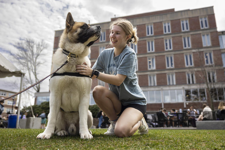 A student and a therapy dog enjoying each other's company on a warm day outside a residential quad.
