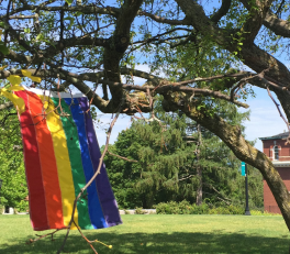 LGBTQIA+ Web Image 2.png