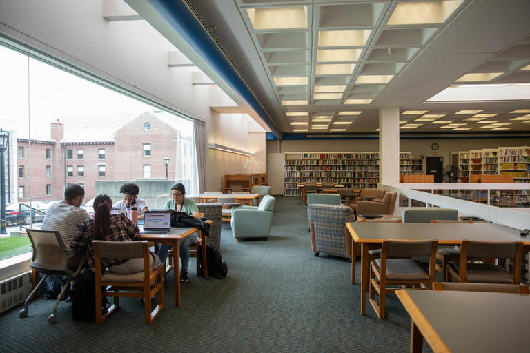 Students studying in the library