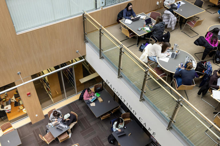 Students studying on campus