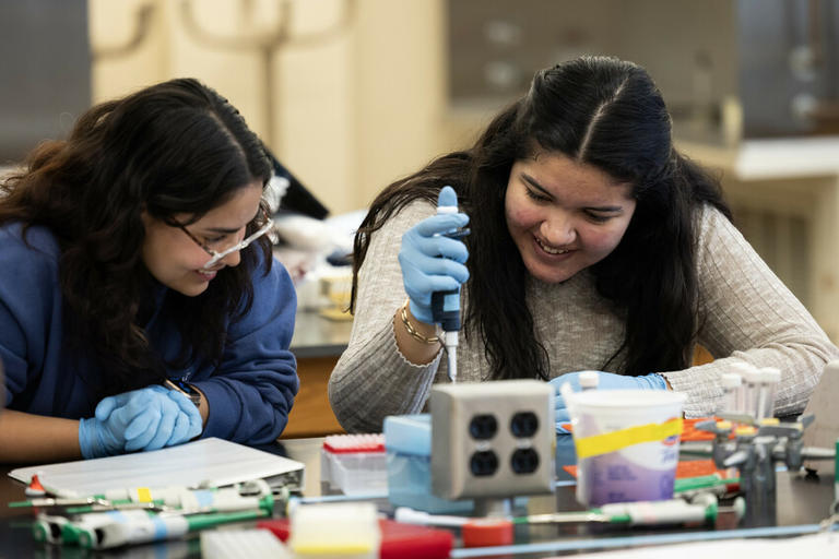 Students in the lab doing course work