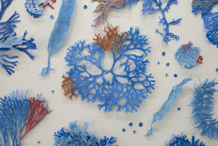 Michelle Samour, Blue (detail), 2019, handmade paper pulp drawing, specimen pins, 10’ x 20’ x 5” (installed). Courtesy of the artist.