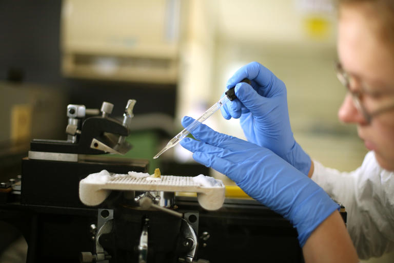 Student doing research