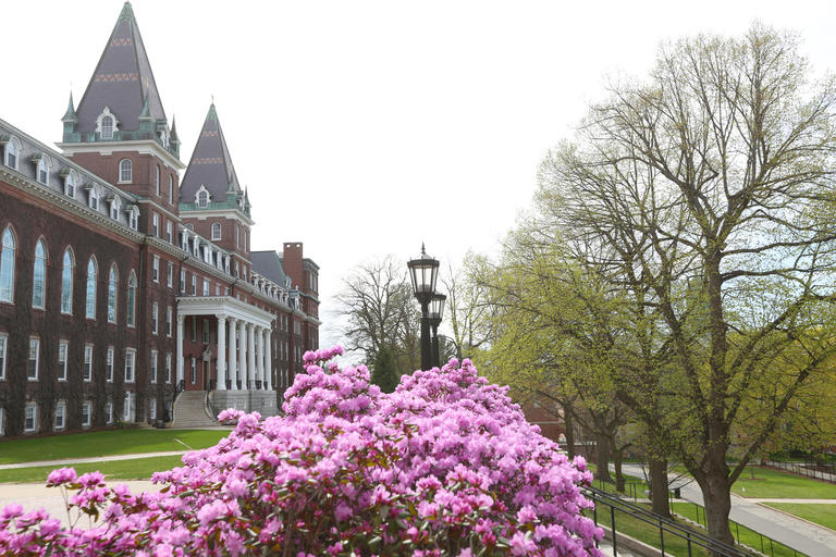 purple flowers in front of Fenwick Hall