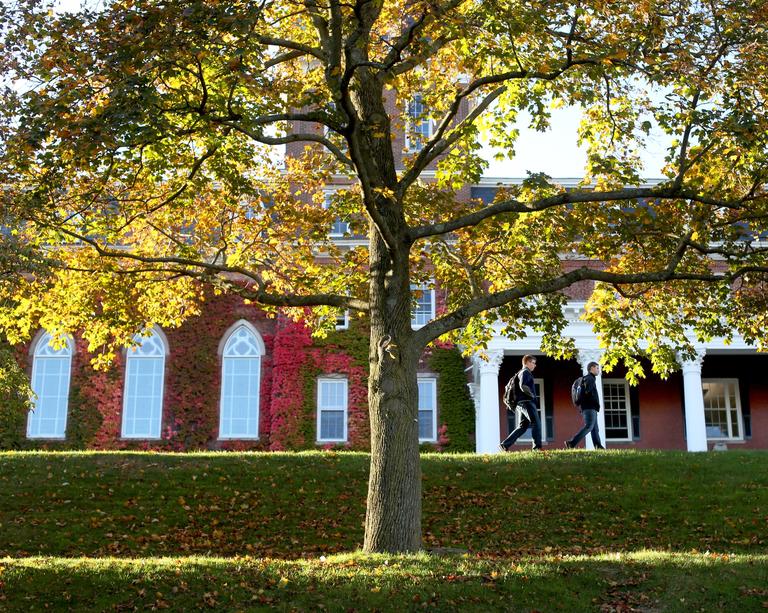 a tree with yellow leaves in front of fenwick hall